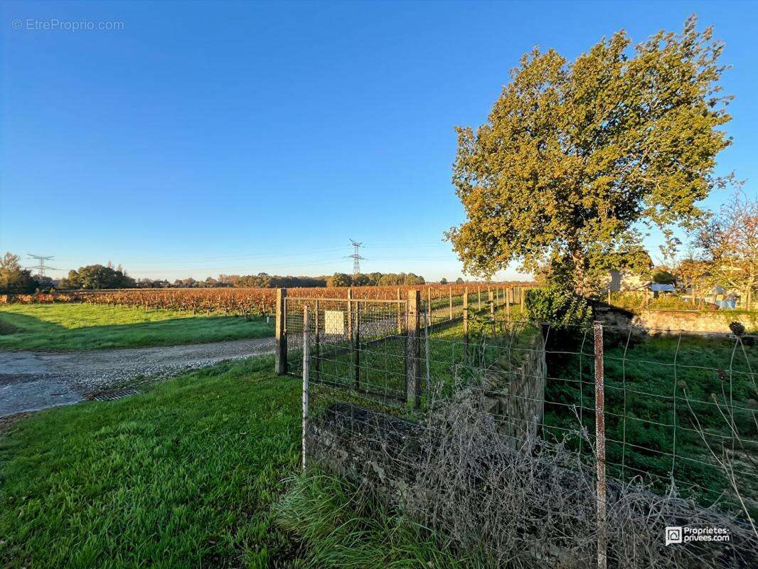 Terrain à SAINT-ANDRE-DE-CUBZAC
