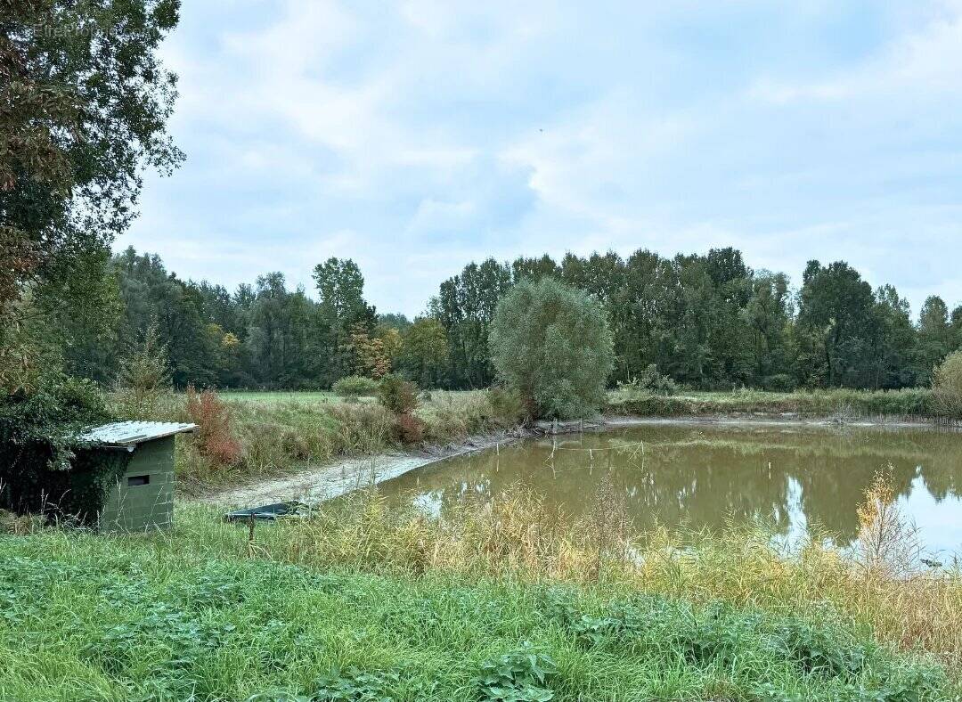 Terrain à WANDIGNIES-HAMAGE