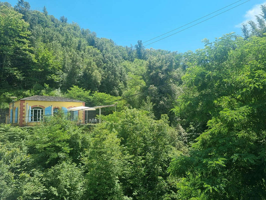 Rapaggio Murs et parcelle de terre - photo 2
