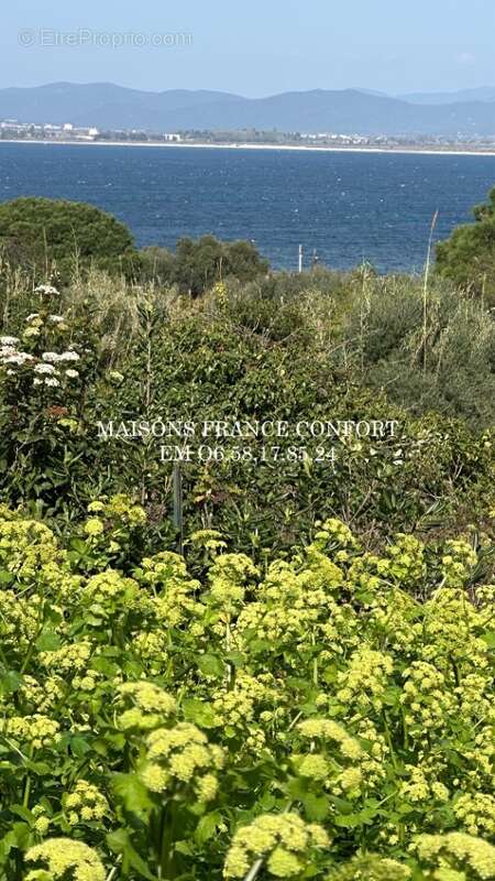 Terrain 1100 m² à Hyeres  - photo 2