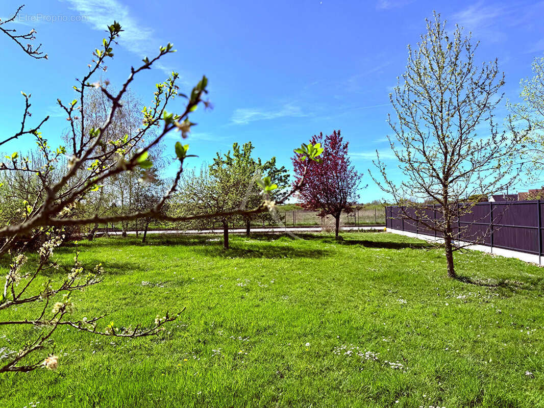 Terrain à SAINT-DENIS-EN-VAL