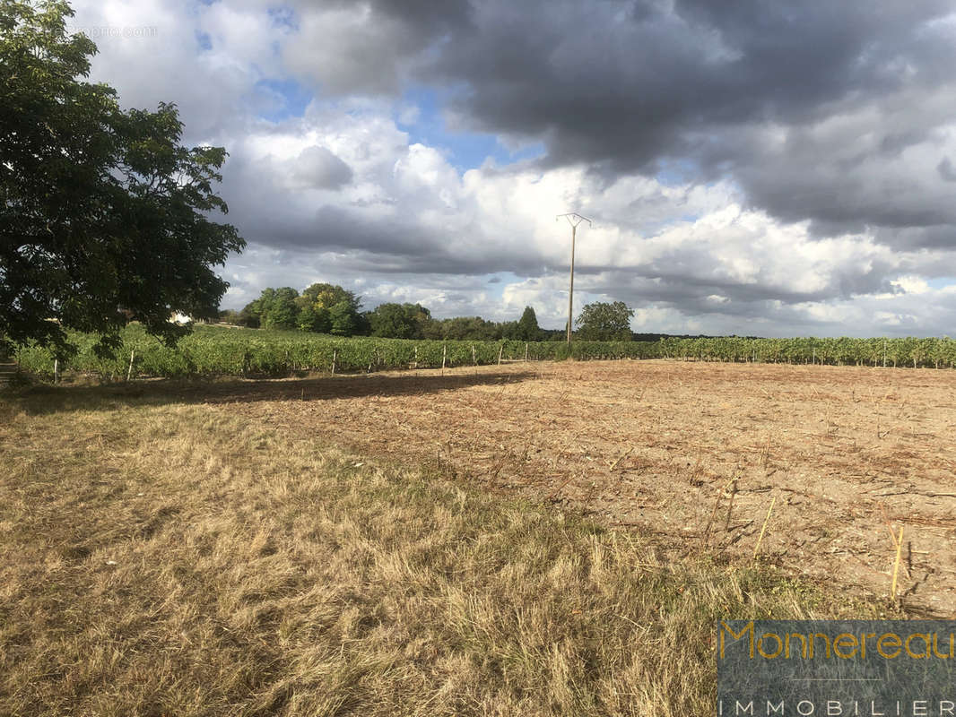 Terrain à SAINT-MAIGRIN
