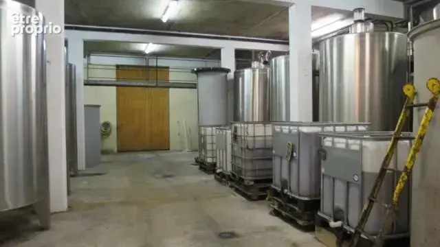 3600 m² à Bommes  - photo 3