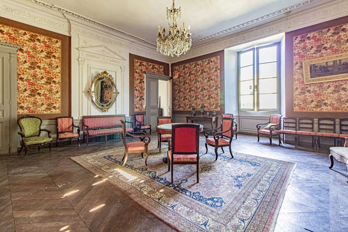 Superbe Château médiéval chargé d'histoire entouré de plus de 200 hectares - photo 6