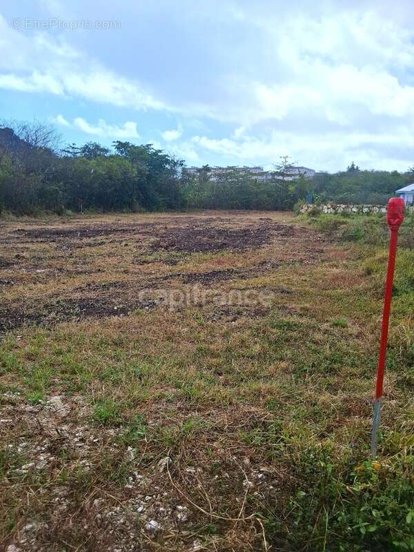 Terrain à vendre  de 1811 m² sur LE MOULE (971) - photo 2
