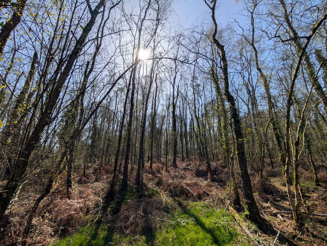 Terrain à CAMPENEAC