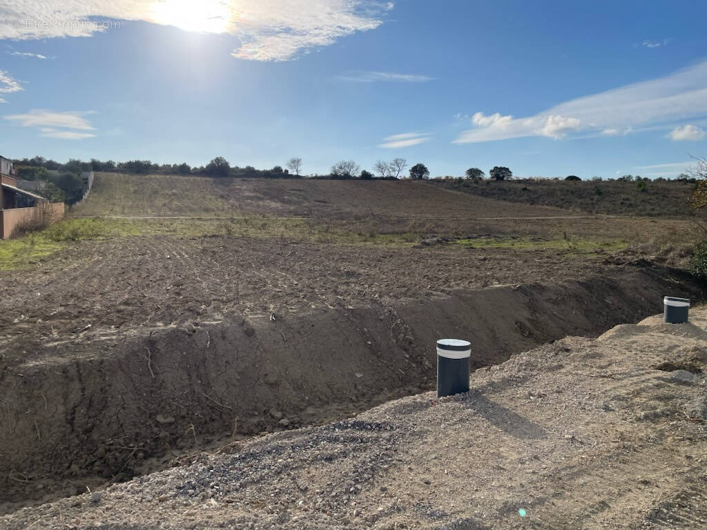Terrain à PORTEL-DES-CORBIERES