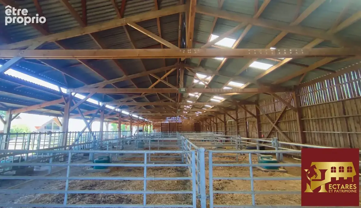 Propriété équestre 2,6 hectares - photo 13