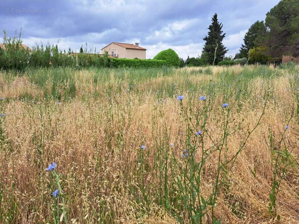 Terrain 305 m² à Lambesc  - photo 2