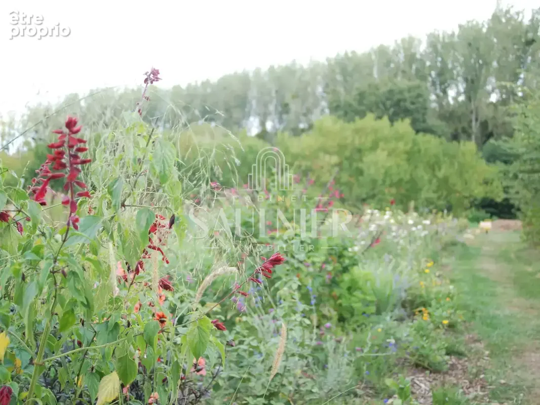Entre Montrichard et Blois, petit domaine agricole. - photo 30