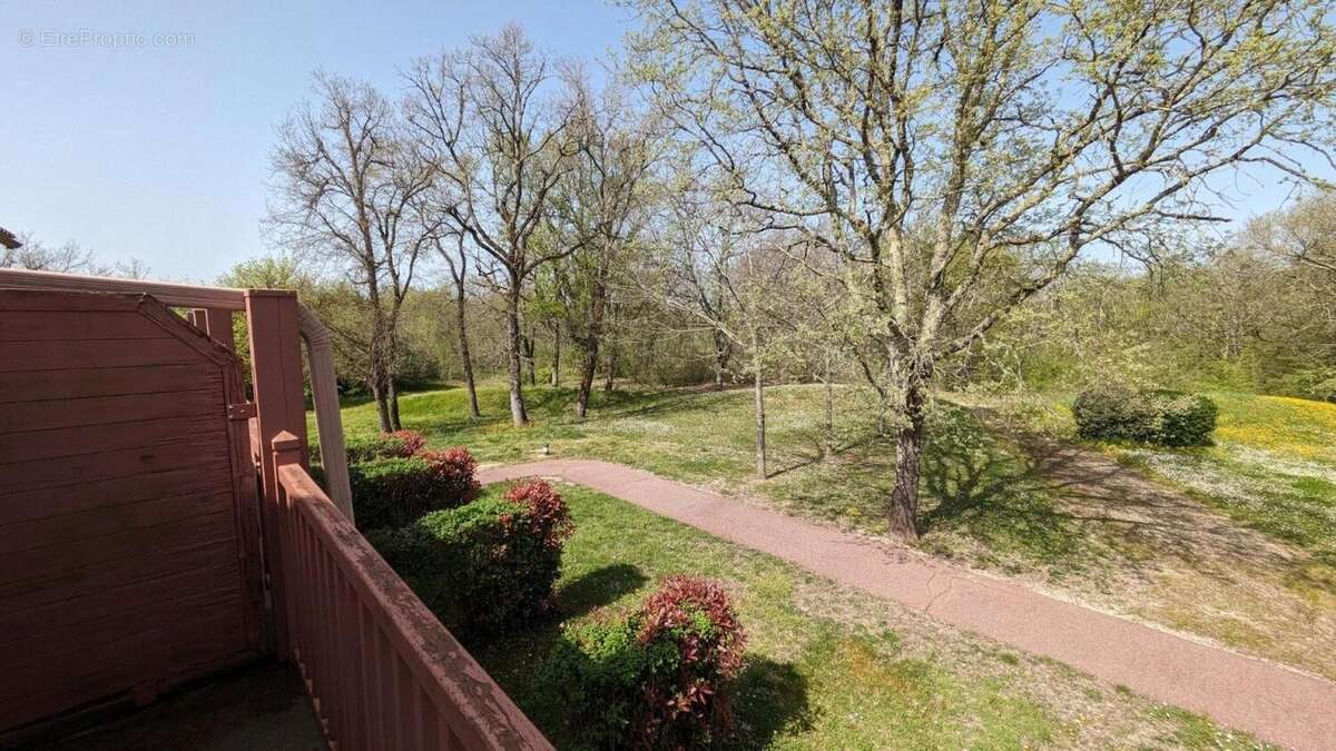 Photo 8 - Appartement à MONFLANQUIN