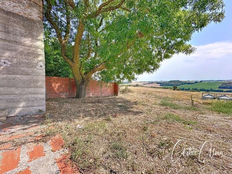 Maison à AVIGNONET-LAURAGAIS