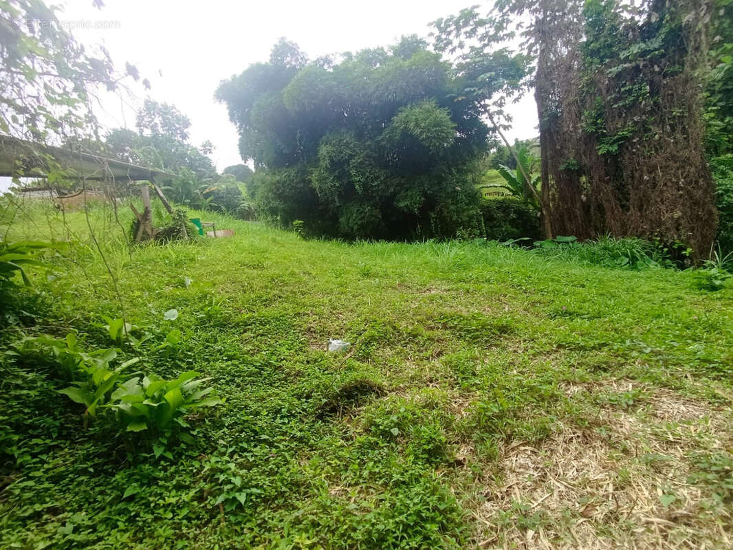 1570 m2 - GROS-MORNE- terrain constructible - photo 2