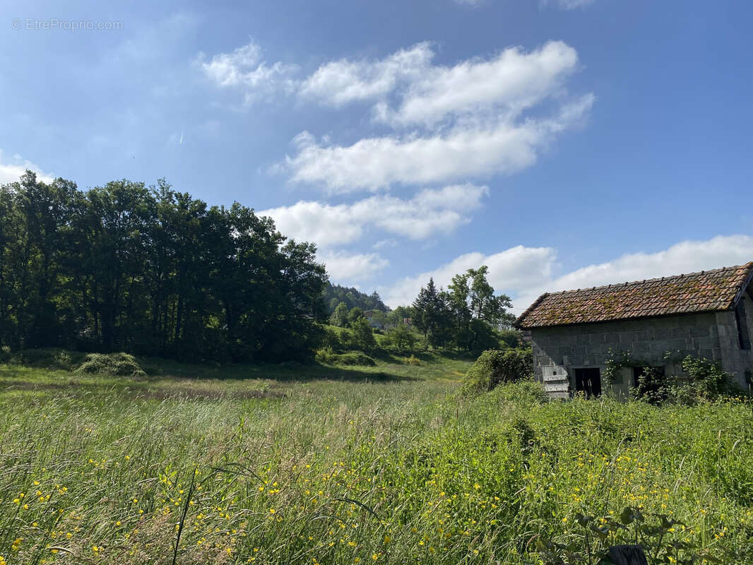 Terrain à COURPIERE