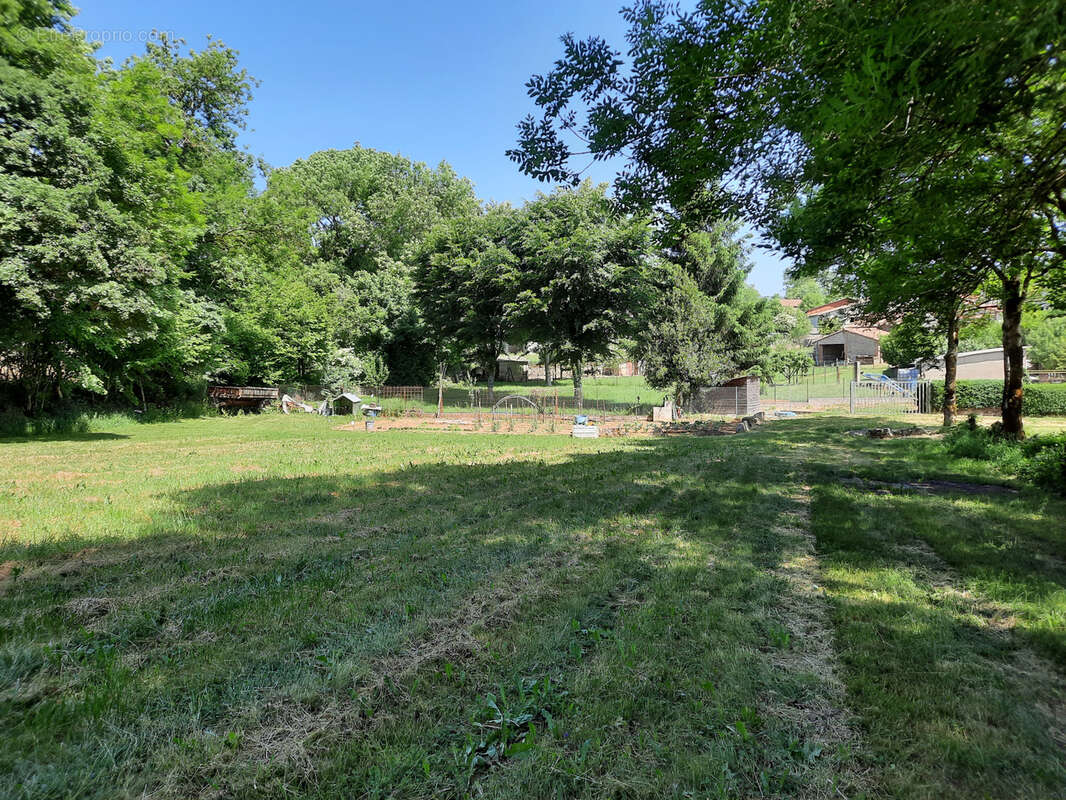 Terrain à VIALA-DU-PAS-DE-JAUX