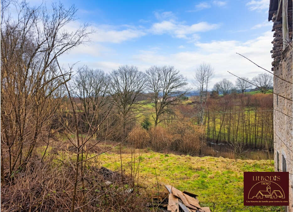 Belle bâtisse rénovée avec jardin, bois et pâtures - photo 13