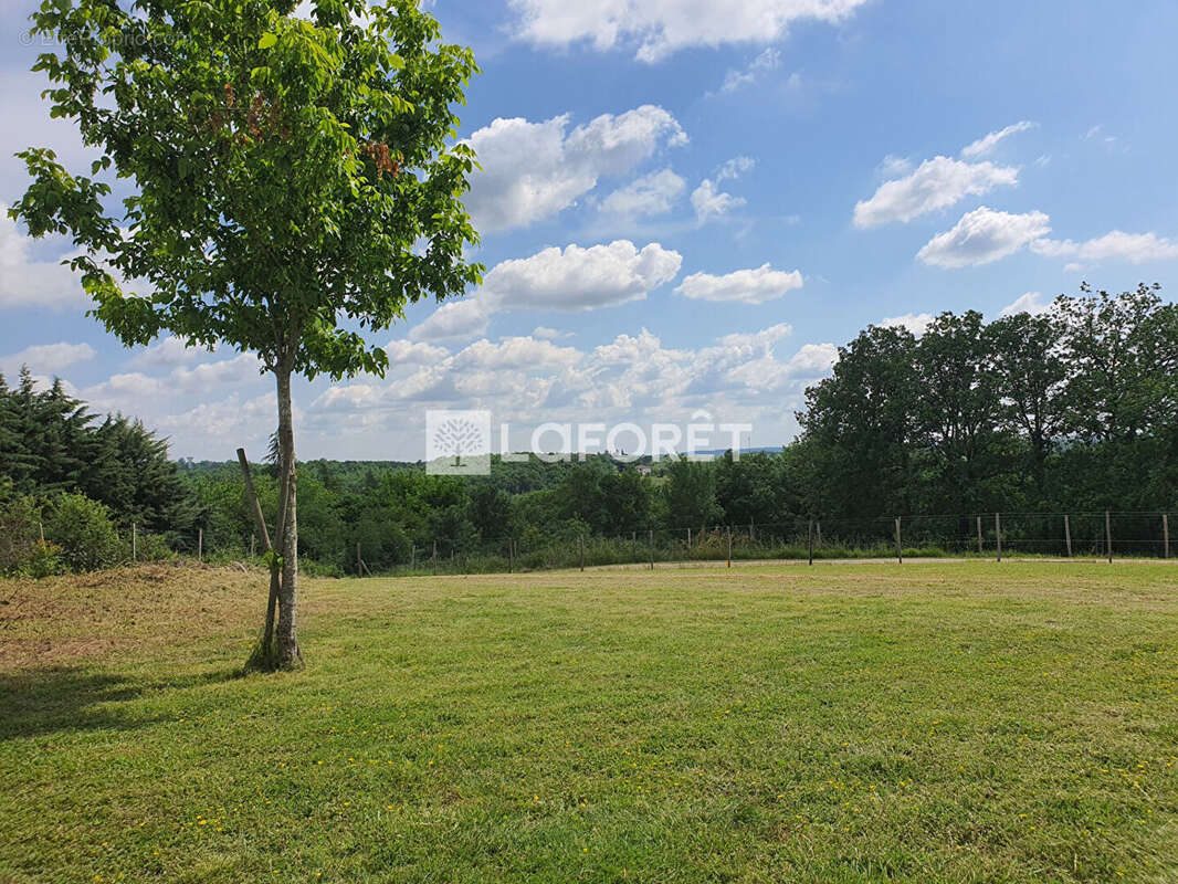 Terrain à VILLEMUR-SUR-TARN