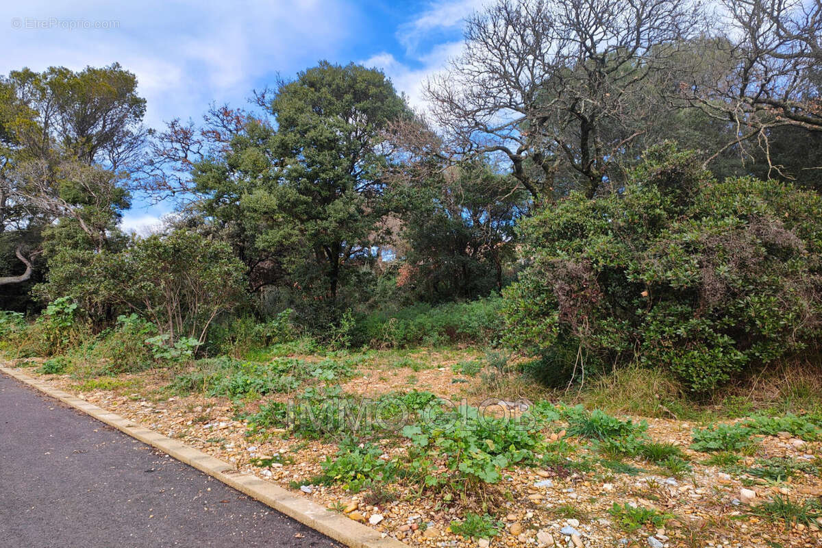 Terrain à VILLENEUVE-LES-AVIGNON