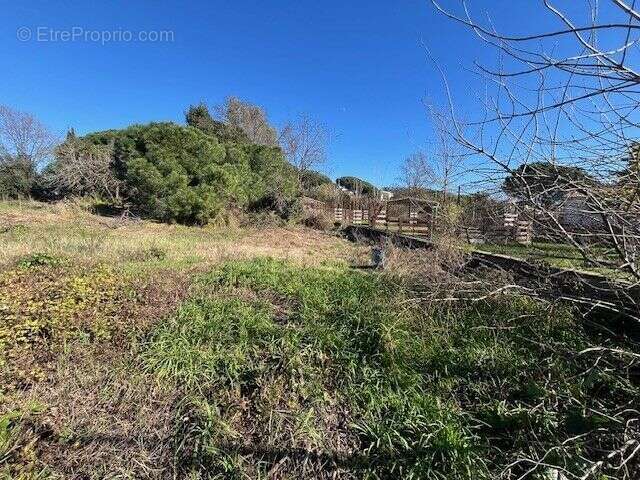 Terrain à CANNES