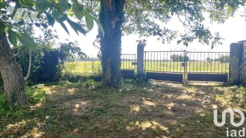 Photo 2 - Terrain à DORMELLES