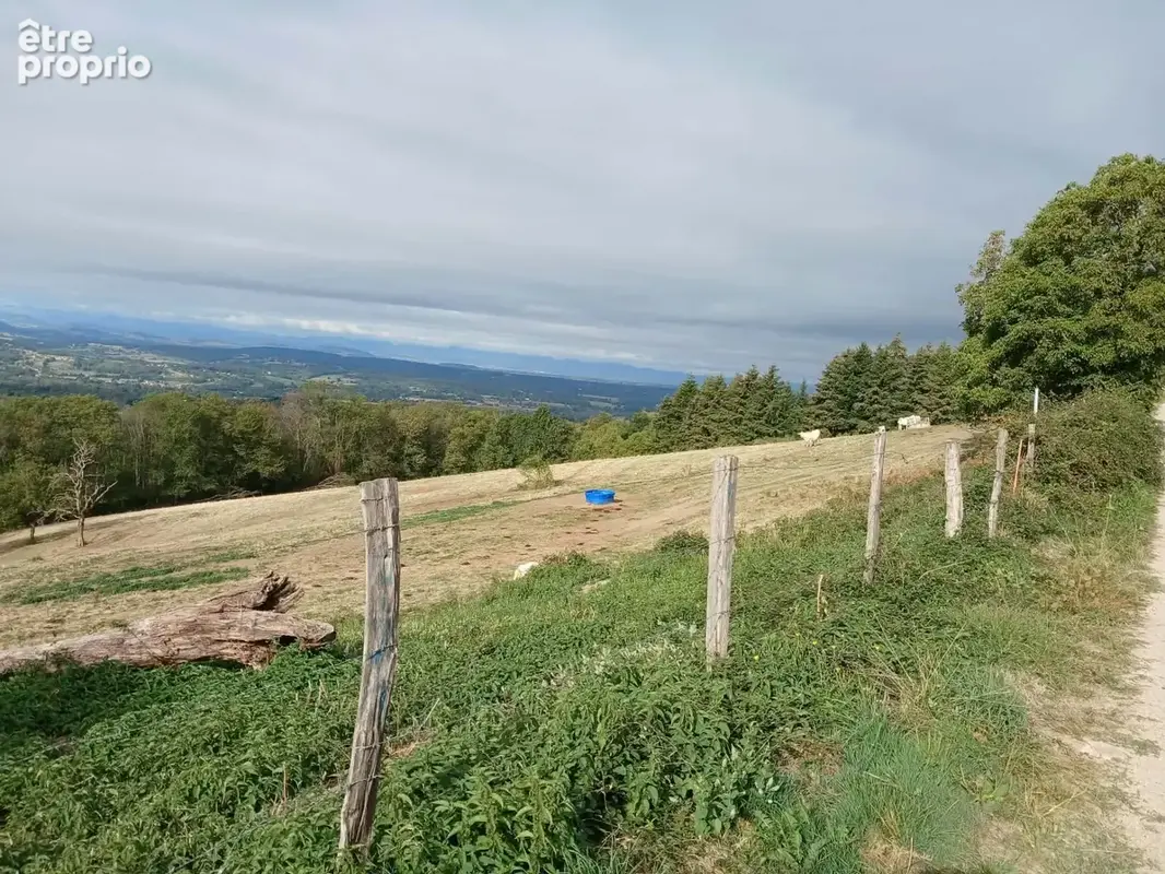 Terrain à ESCOUTOUX
