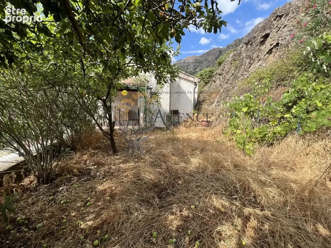 Maison de village - asco - photo 3
