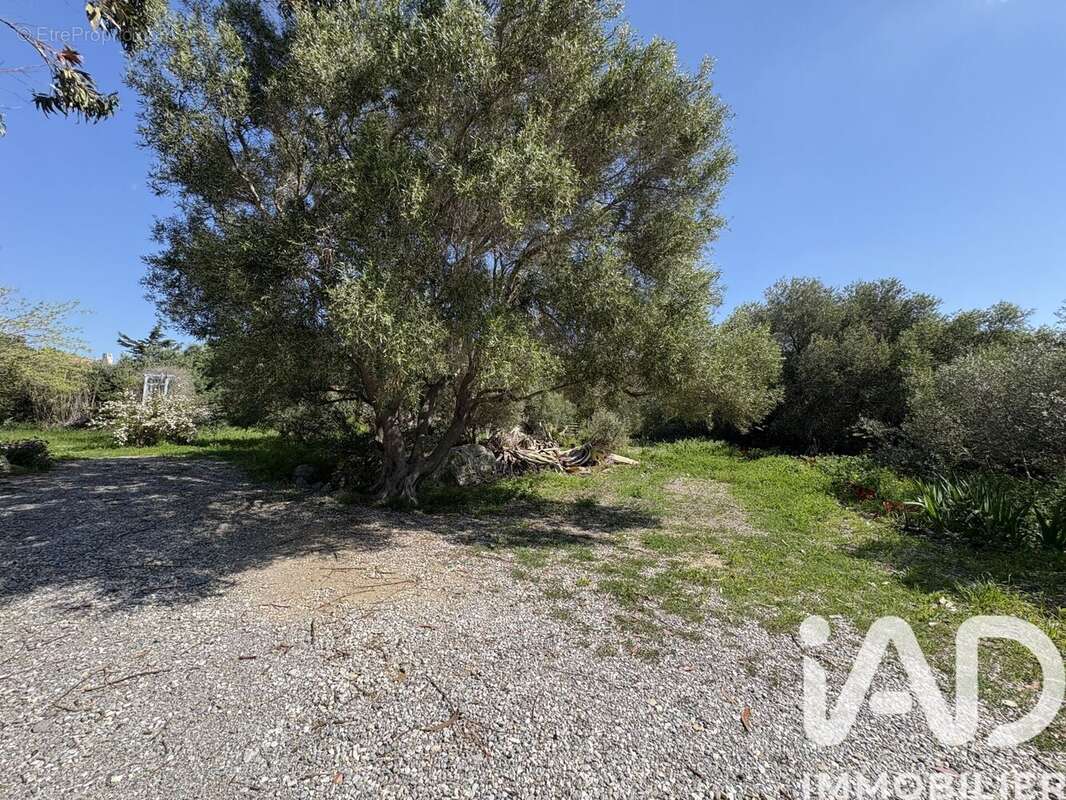 Photo 4 - Maison à LA PALME