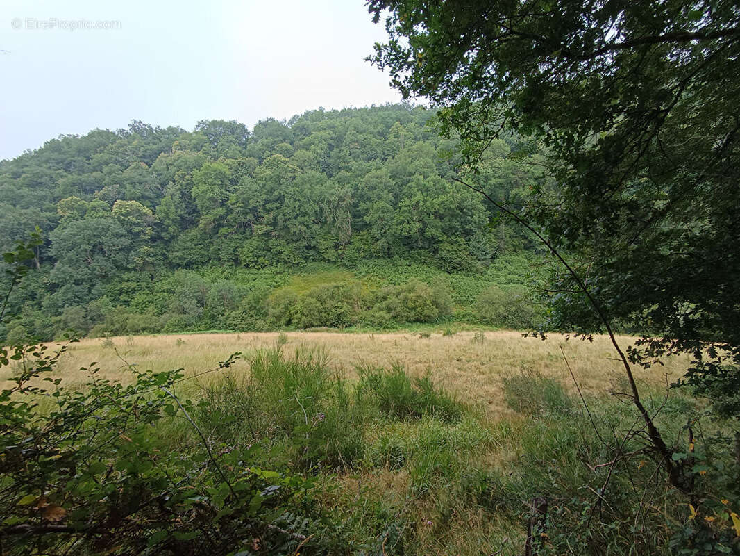 Corps de ferme - photo 8