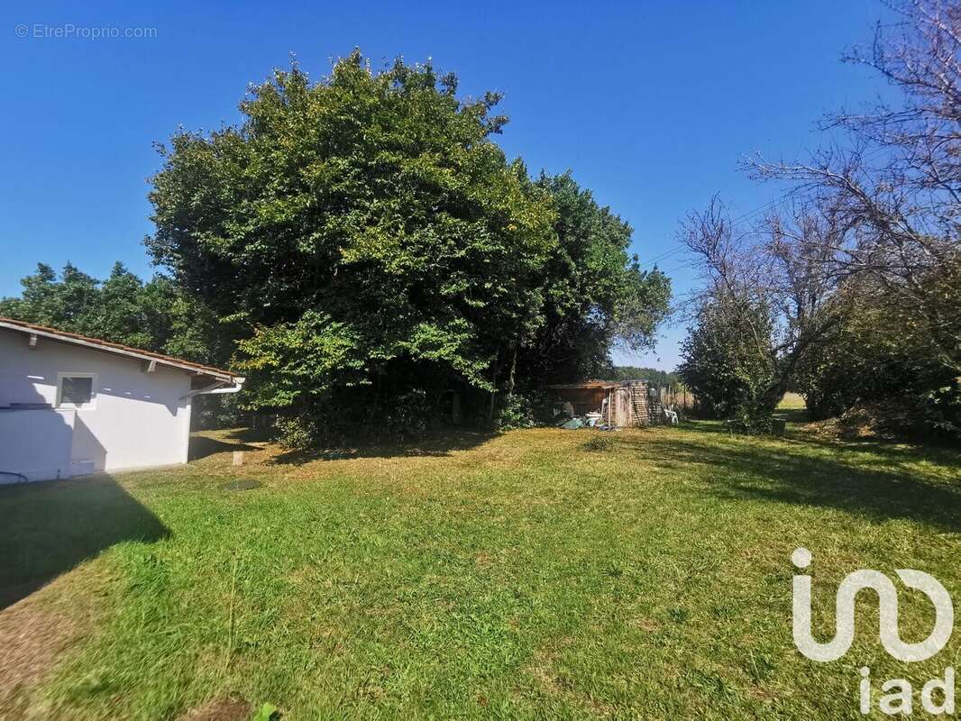 Photo 7 - Maison à DOLUS-D&#039;OLERON