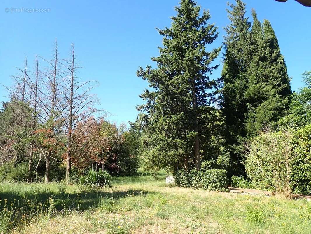 Maison à SAINT-COME-ET-MARUEJOLS