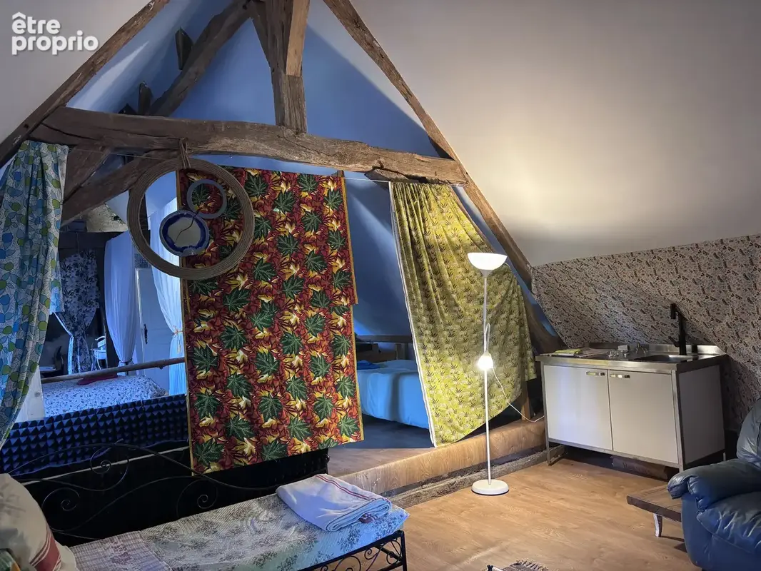 Le Veurdre - Ancien moulin à eau avec une maison spacieuse et un petit bout de rivière sur un terrain de 1,7 h - photo 17