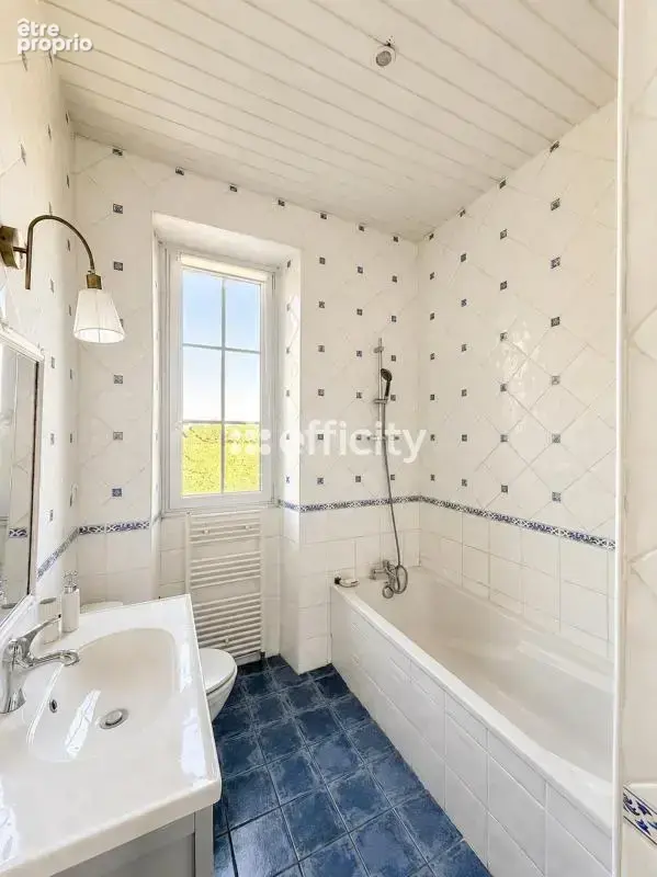 Maison 14 pièces 529 m² à vendre à Barsac (33720) - photo 12