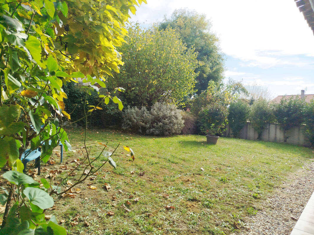 Commerce à PELLEGRUE