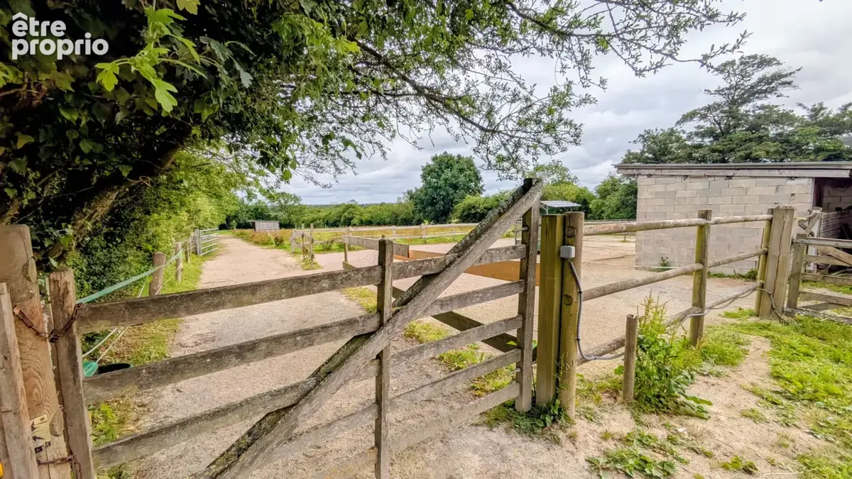 Maison - gites - installations equestres - photo 15