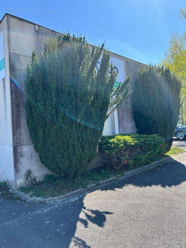 Autre à CORMONTREUIL