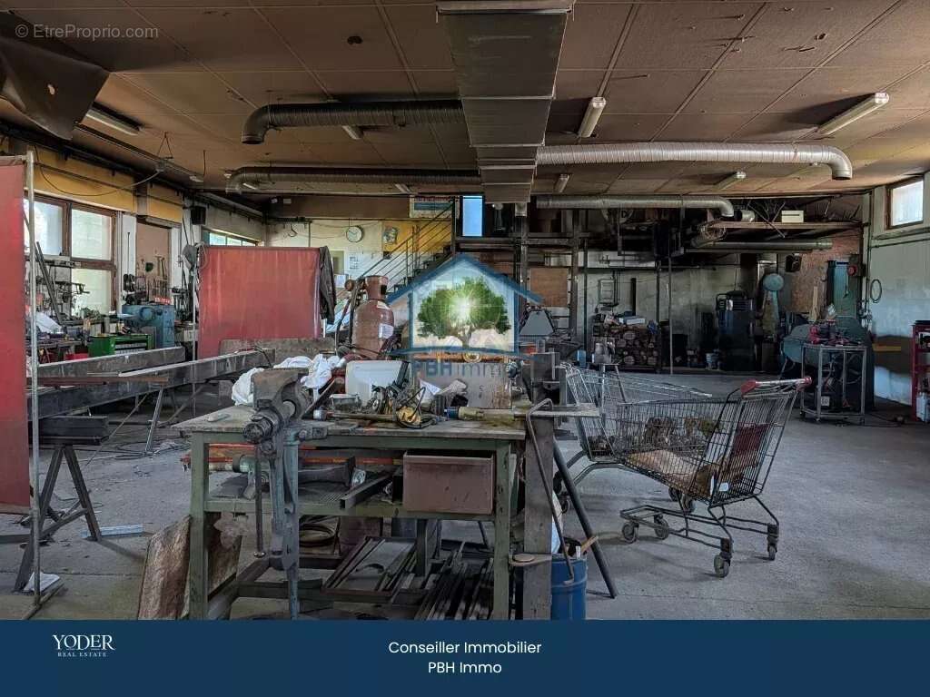 Commerce à NIEDERMODERN