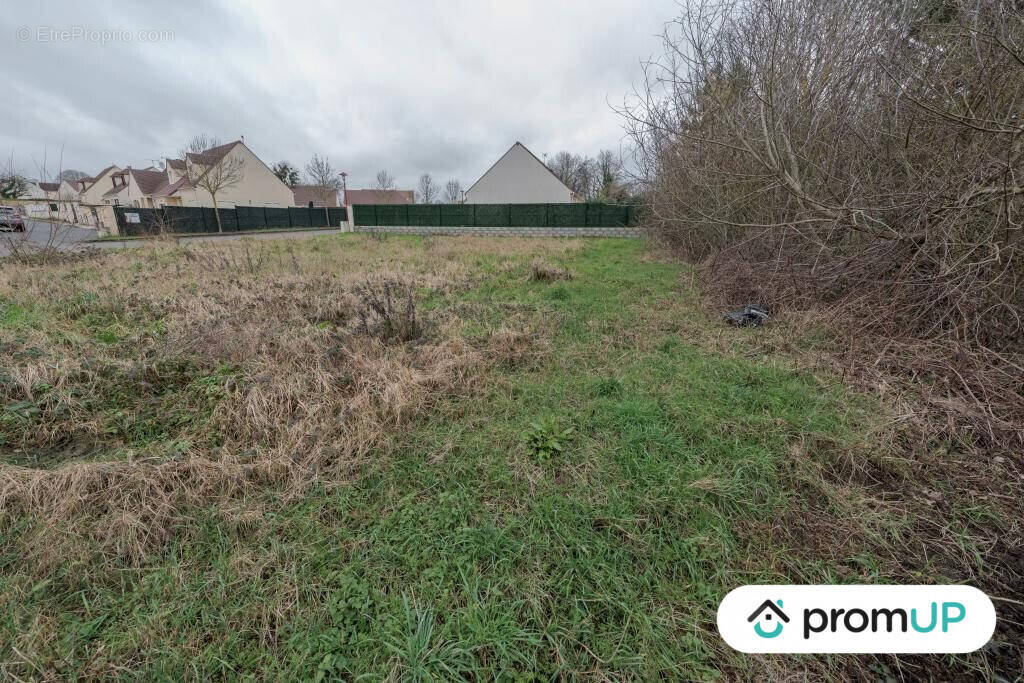 Terrain à MONTIGNY-LENCOUP