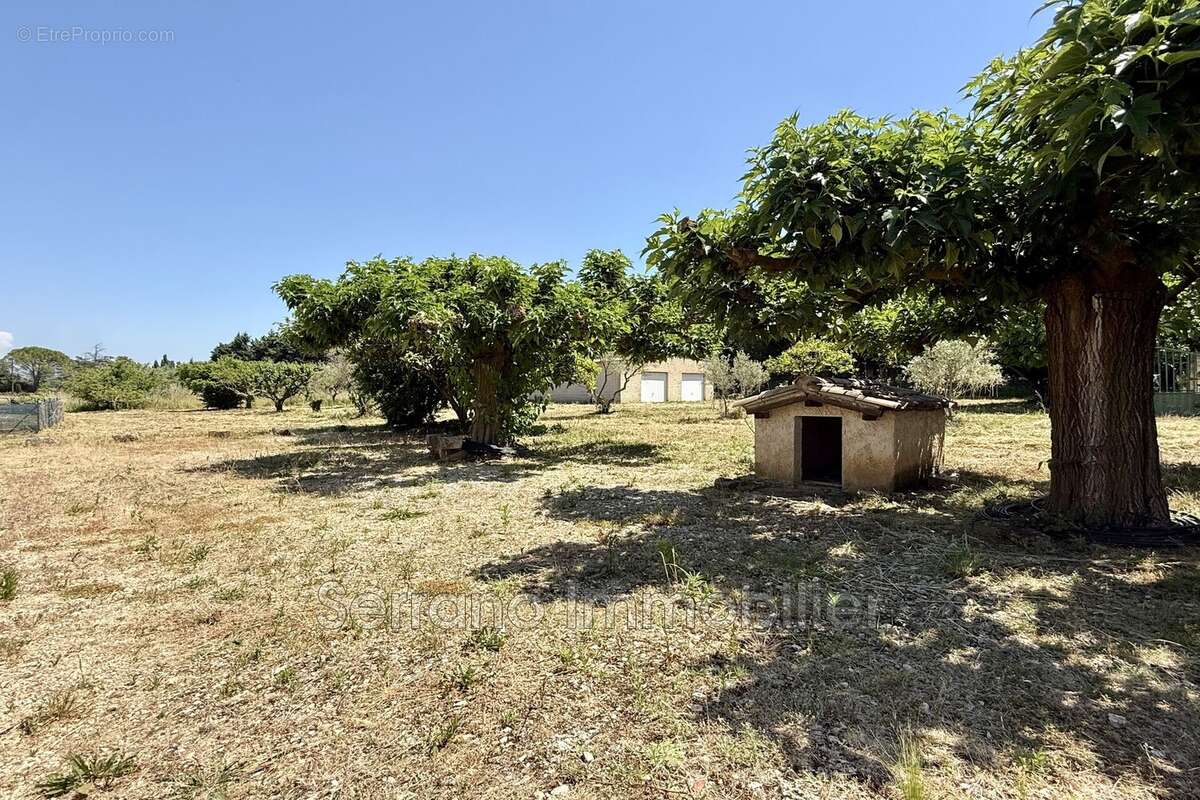 Maison 167 m² à Saint-Remy-De-Provence  - photo 8