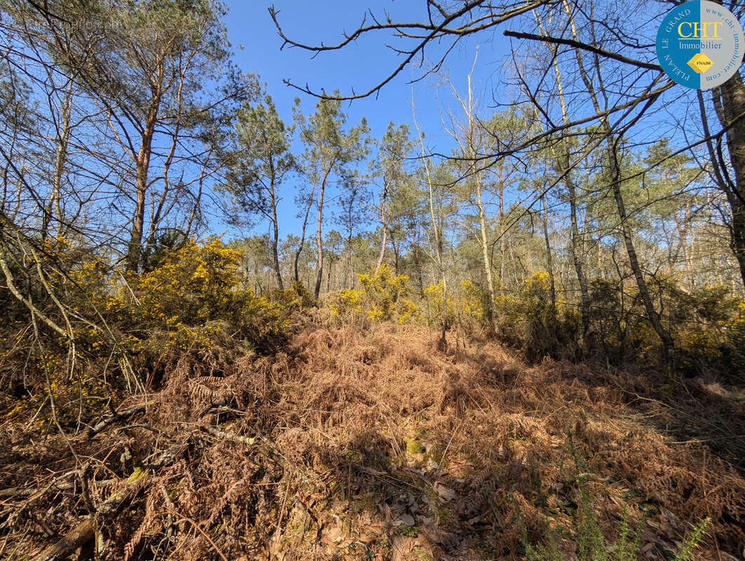 Terrain à CAMPENEAC