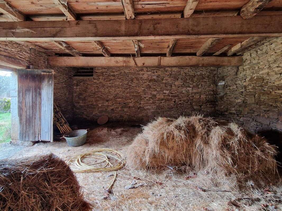 20250211_152336 - Maison à LIVERNON