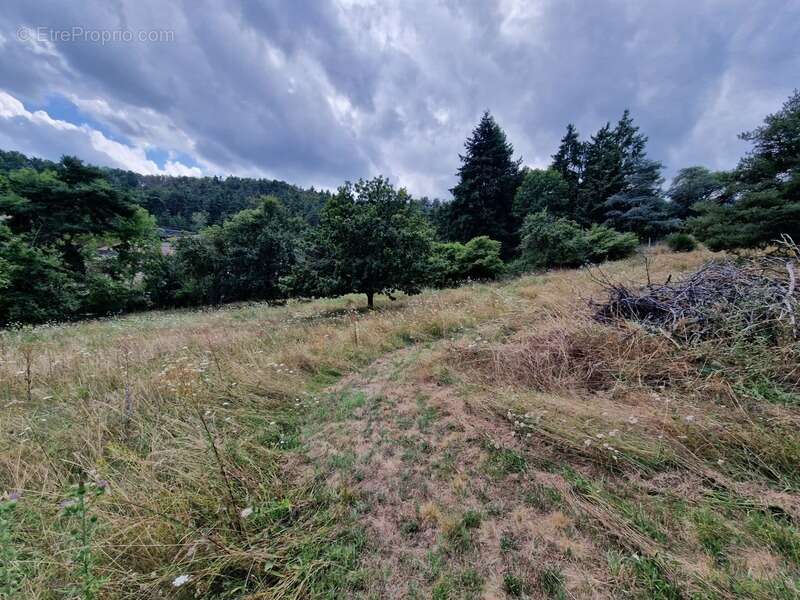 Terrain à vendre de 1271 m² orienté SUD sur la commune de MARCOUX, 2 minutes de BOEN et 15 minutes de MONTBRISON - photo 2