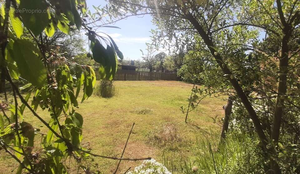 Terrain à PARIGNE-L'EVEQUE