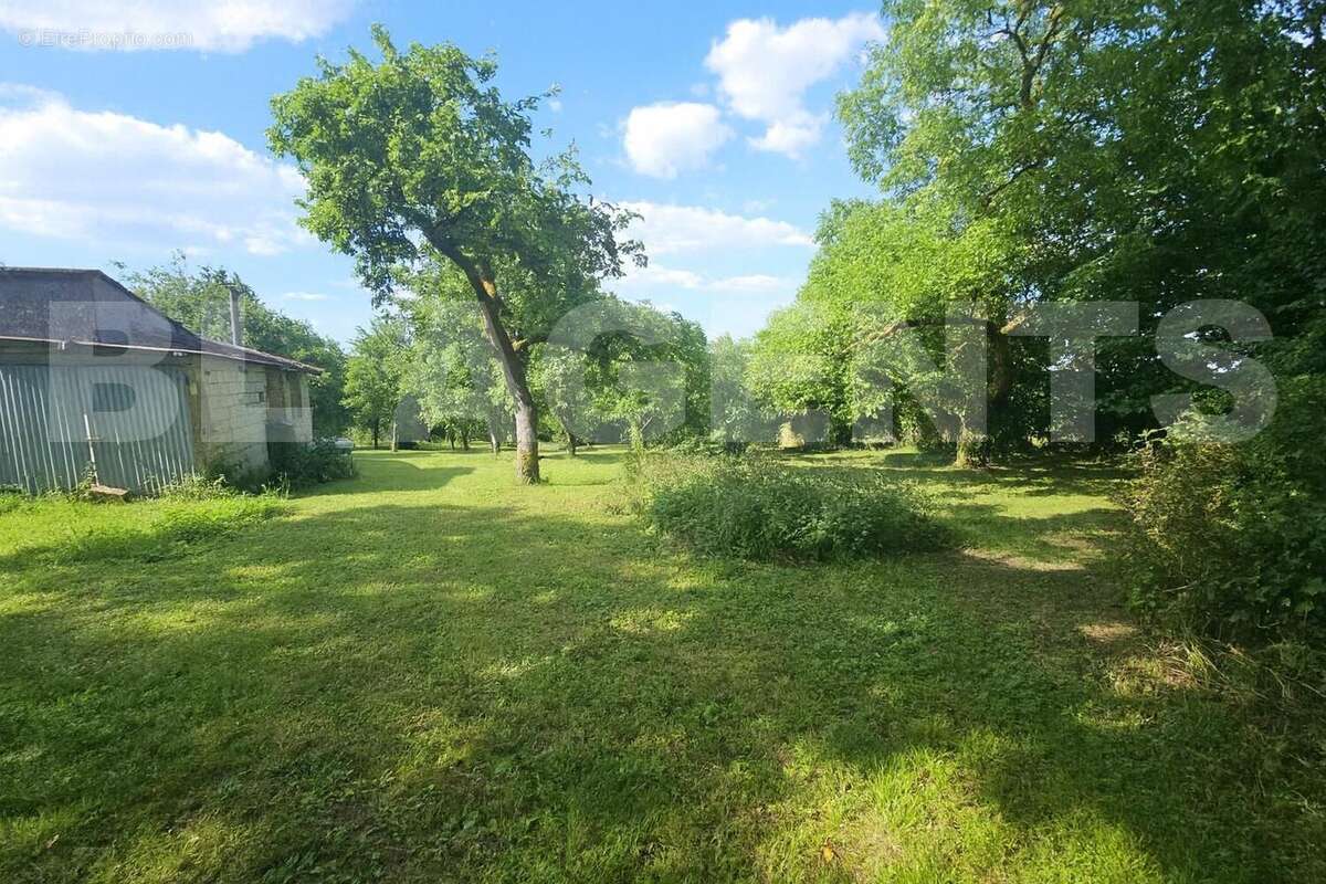 terrain - Terrain à BRIEULLES-SUR-BAR