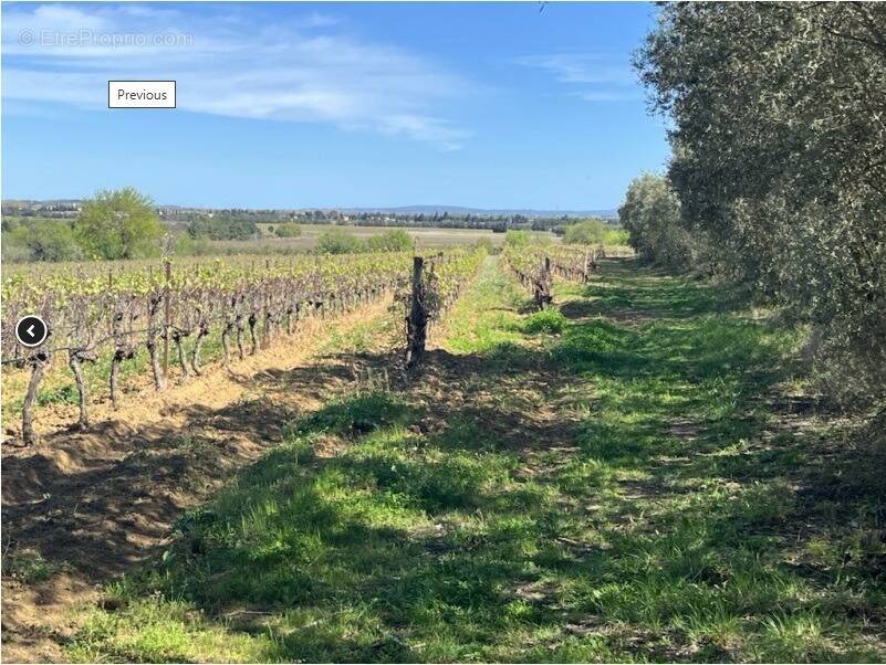 Terrain à GINESTAS
