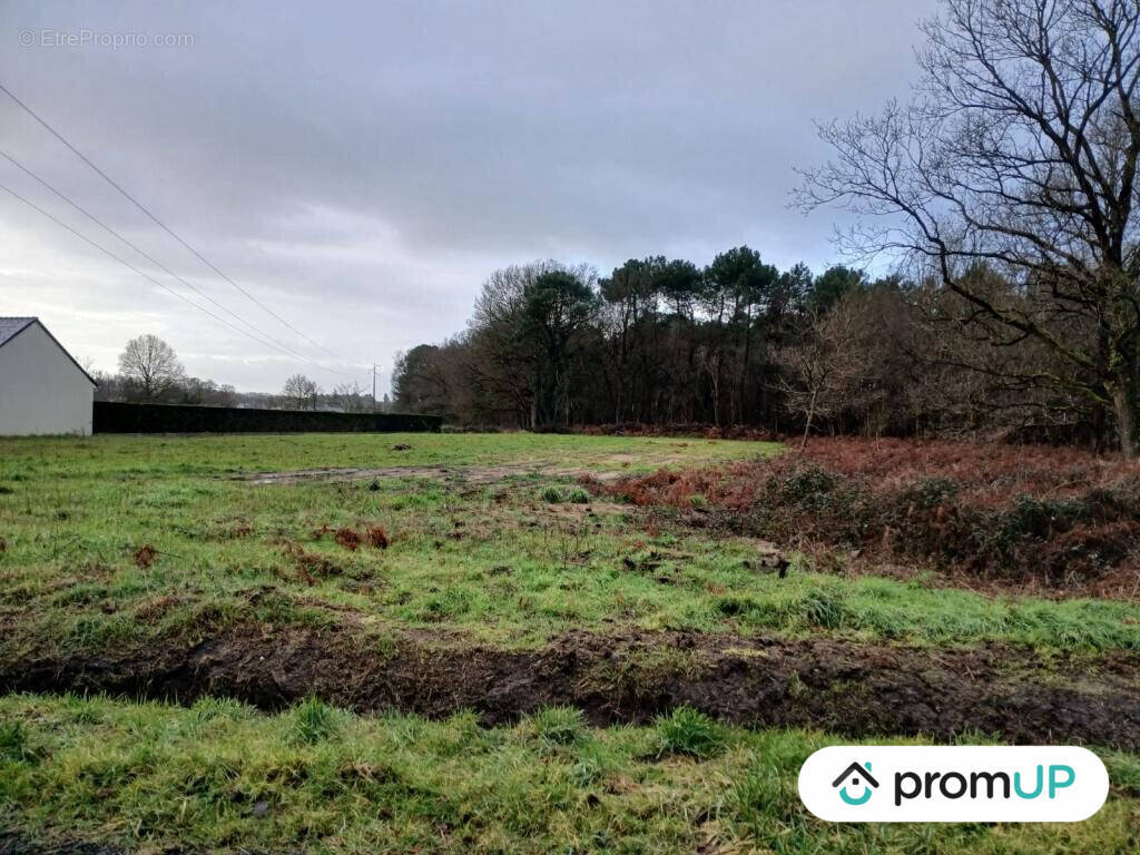 Terrain à SAINT-PHILBERT-DU-PEUPLE