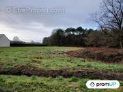 Terrain à SAINT-PHILBERT-DU-PEUPLE