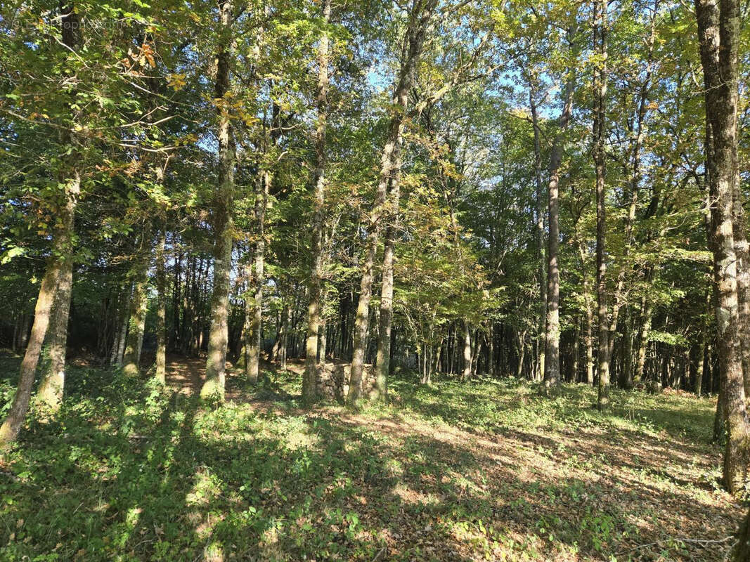Maison à VILLAMBLARD