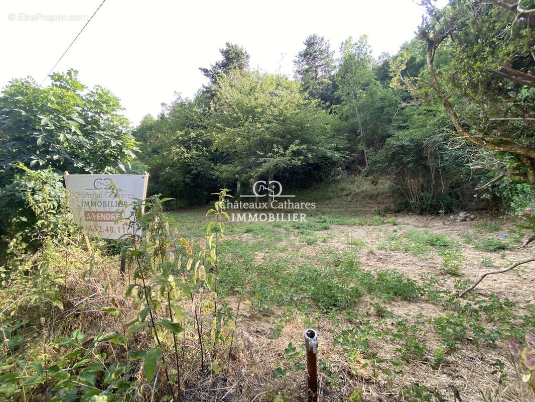 Terrain 2287 m² à Salvezines  - photo 6
