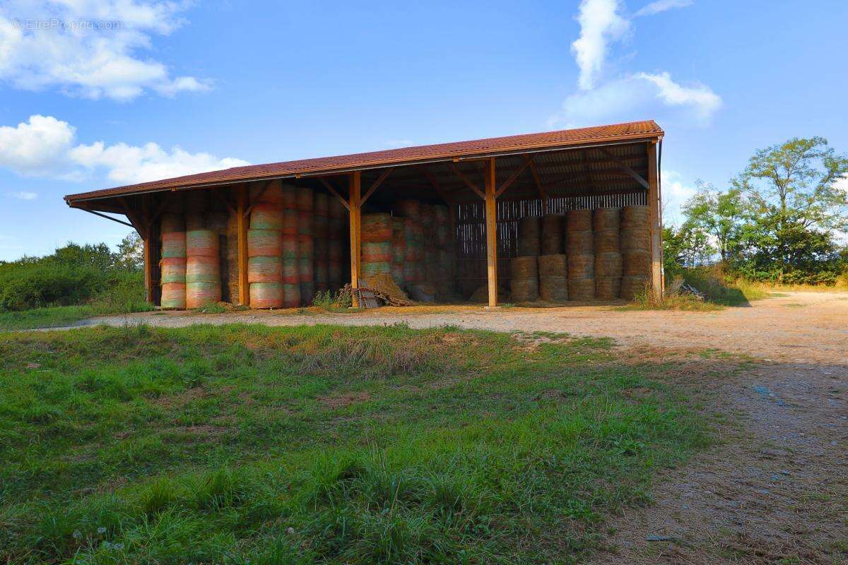 EXCLUSIF Propriete agricole avec 7 hectares possible 70 hectares en location - photo 3
