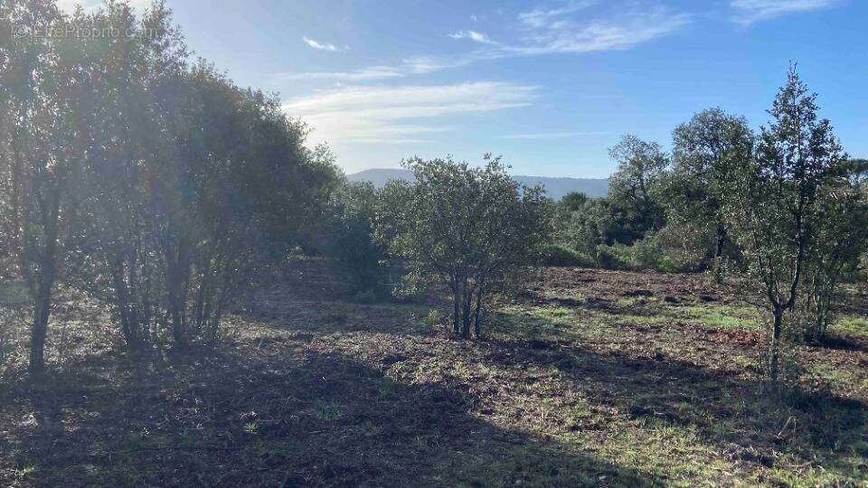 Terrain à LAURIS